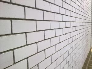 Кирпич СОЛПО-М200/F50/2,0 полнотелый 1 под.-360 шт Могилев (250*120*65)